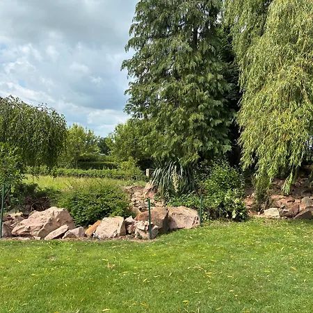 Therence Chez Bruno *